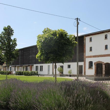 Ferienwohnung Gutshof Marienthal Viereck Exterior foto