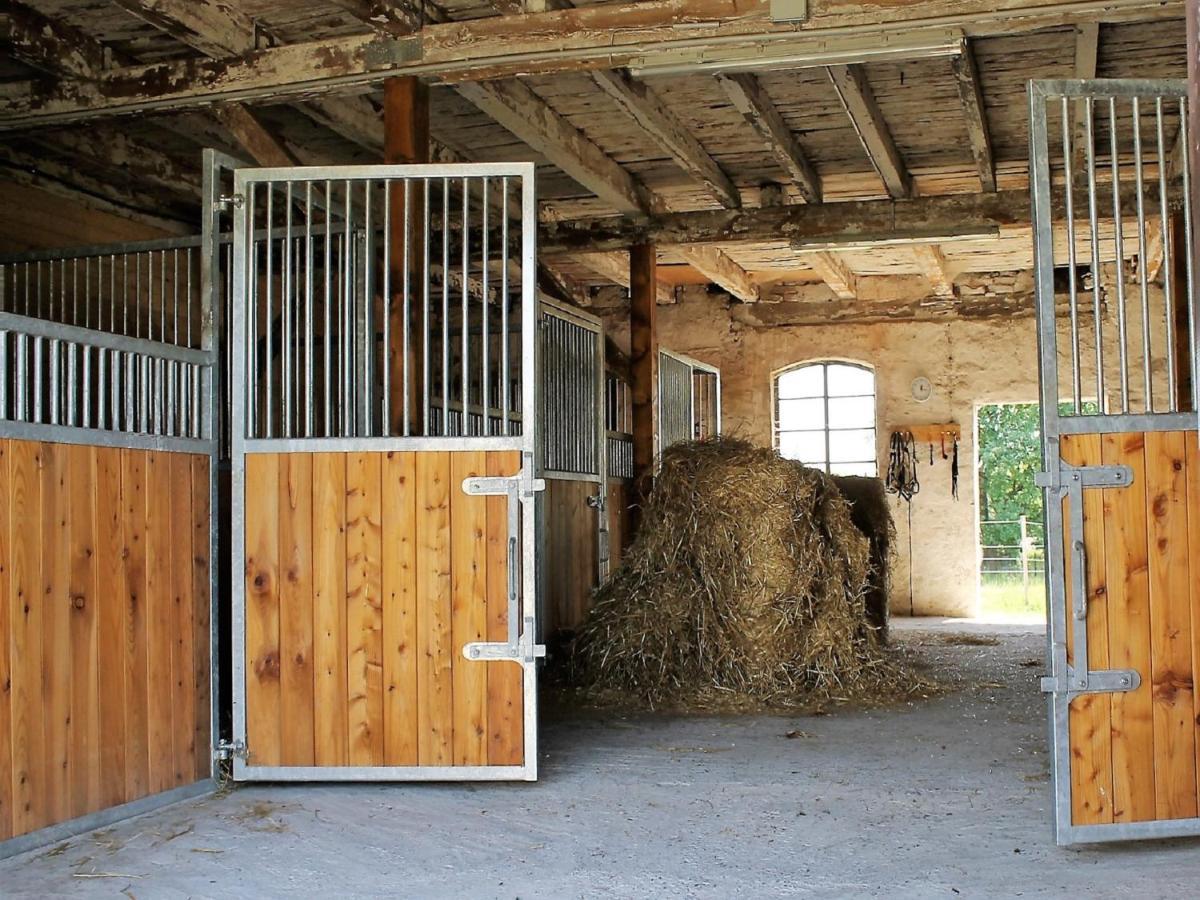 Ferienwohnung Gutshof Marienthal Viereck Exterior foto